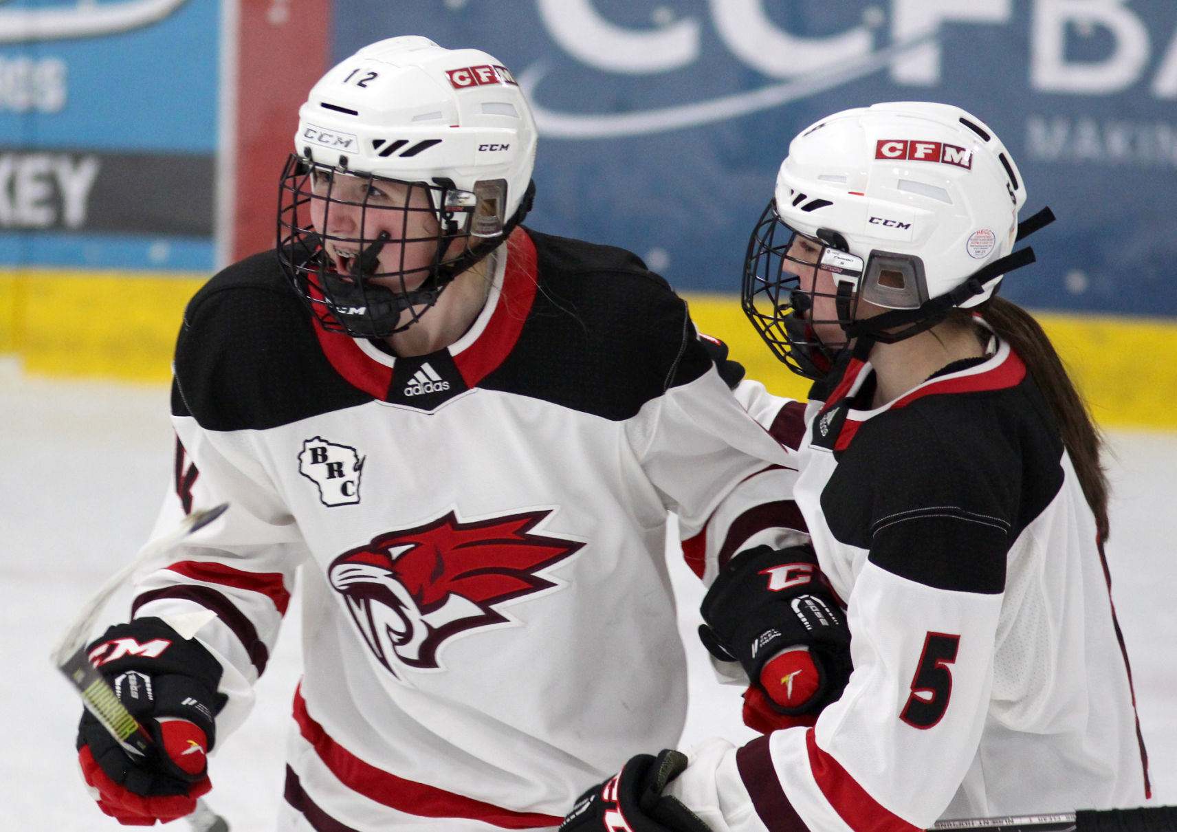 Medford at Chippewa Falls/Menomonie girls hockey 1-30-20
